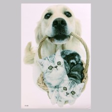 Stick 3D Interior pets 57*40cm