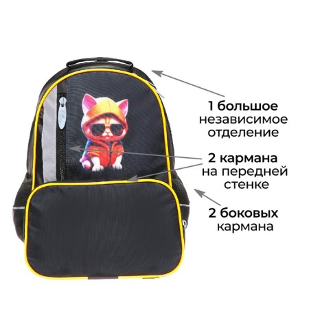 School backpack, 37 x 26 x 13 cm, ergonomic back, calligrata orth "Cool cat"-2