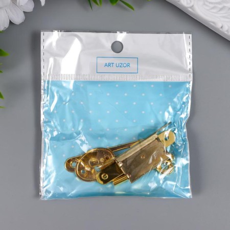 Castle for a casket "with a key" 5 items in a set of 1x5.5 cm S-303-3