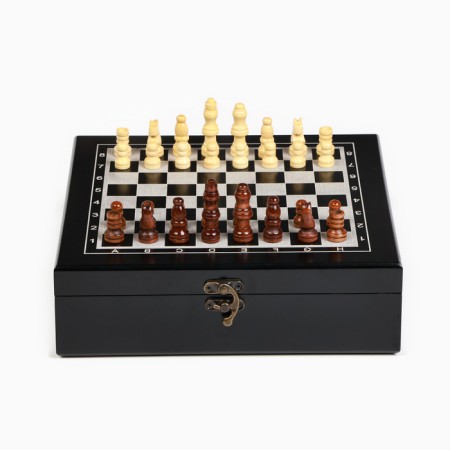 Set 4 in 1: chess, domino, 2 deck of cards, 25 x 25 cm-2