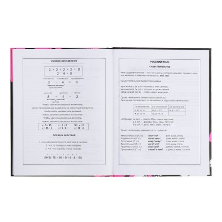 School diary for grades 1-11, 48 sheets "Rabbit Graffiti", hard cover, matte lamination, universal cheat sheet, block 65g/m2-11