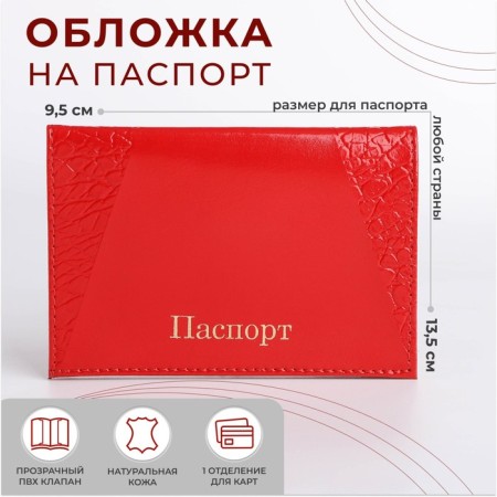 Cover for passport, red color
