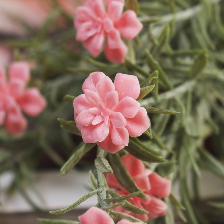 Bouquet "Oleander Lady" 29 cm, mix, with spraying-1