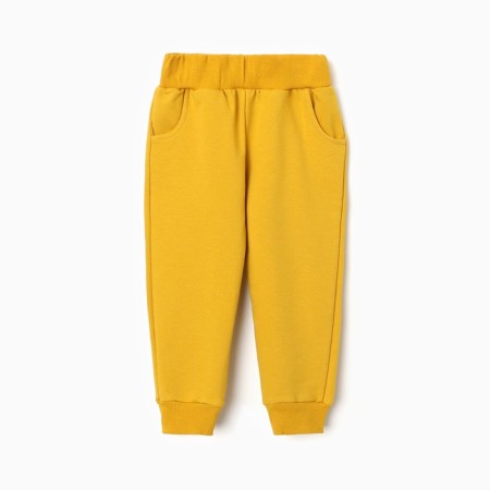 Kit for children (sweatshirt, trousers), mustard color, height 104 cm-6