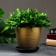 Flower “Amelia” pot of brown, 1.4 liters
