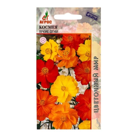 Cosmea seeds bright lights 0.5g*