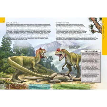 The prehistoric world of dinosaurs. Children's Encyclopedia-8