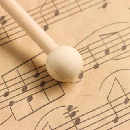Musical instrument Gong Music Life 15 cm, Kolotushka in the kit-2