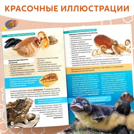The book "Biology for Children", 68 p.-4