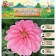Georgina decorative "Pink Persepshn", rr I, 1 pc, spring 2024