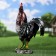Garden figure "Rooster Voice Gudan" 44x34x17cm
