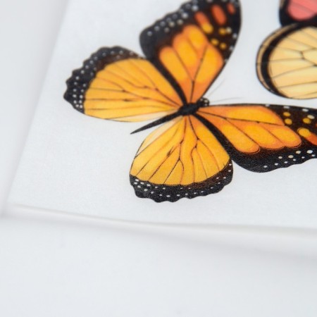 Waffle pictures edible “butterflies” for cupcakes, Konfinetta cake, 1 sheet A5-2