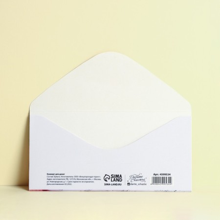 Money envelope "Happy Birthday!", Notes, 16.5 x 8 cm-1