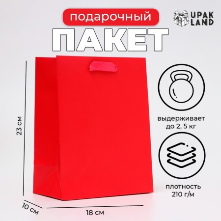 Laminated package "Fuchsia", MS 18 × 23 × 10 cm