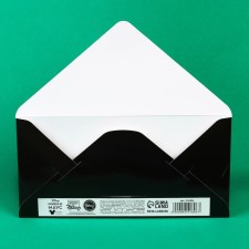 Money envelopes, 16.5 x 8 cm 