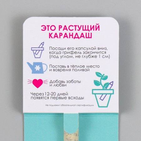 Growing Gift pencils Mini gain calm "Mint"-2