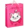 Laminated vertic package, 31x40x1.5 cm, Minnie, transformers, cat Marie, emergency mix