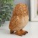 Souvenir Polystone "Forest Owl" 7.5x7x11 cm