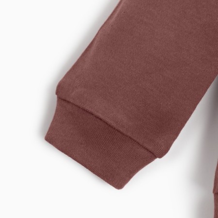 Kidsa (sweatshirt, shorts) minku, brown color, height 86-92 cm-8