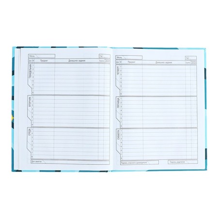 Diary for grades 1-11, solid cover "Vlad A4", 40 sheets, glossy lamination-6