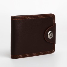Male purse on a magnet, department for bills, for maps, brown color