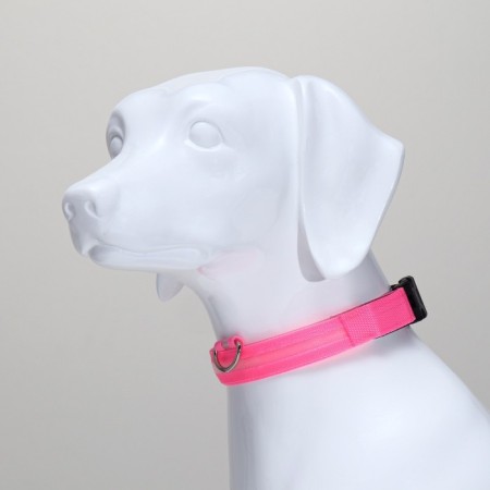 Collar with backlight size M, Osh 40-48 x 2.5 cm, 3 glow modes Pink-2