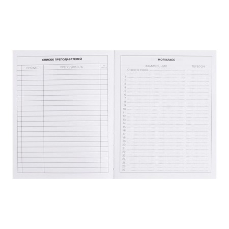 Diary for grades 5-11 "Dragon", integral cover, glossy lamination, 48 sheets-3