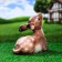 Garden figure "lying deer" from gypsum good souvenirs, 24 cm, medium, brown