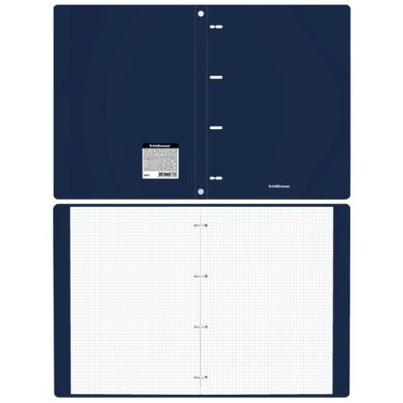 Notebook on A4 rings, 80 sheets in the Erichkrause "Classic", a plastic cover, an offset unit, whiteness is 100%, mix-10