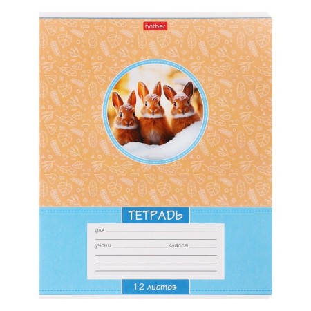 Notebook 12l Lin Forest Babies, Region Mel Boom, BL 65g/M2, Mix-2