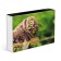 Puzzles "wise owl" in a gift box, 500 elements + poster