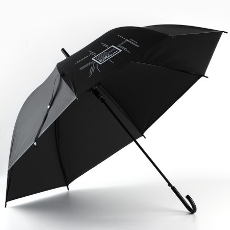 Umbrella is "St. Petersburg", black, 8 spokes-3