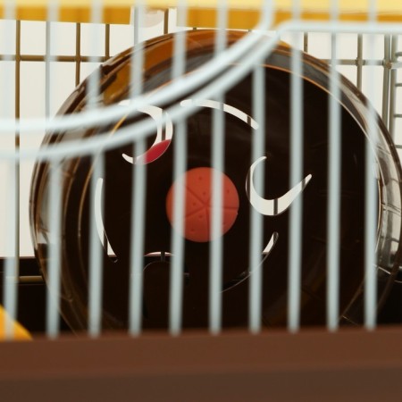 A cage for rodents "Pigger", equipped with a lock, 27 x 21 x 31 cm, brown-6