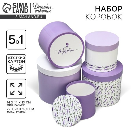 Set of hats 5 in 1, gift packaging, Lavender, 13 x 14 - 19.5 x 22 cm