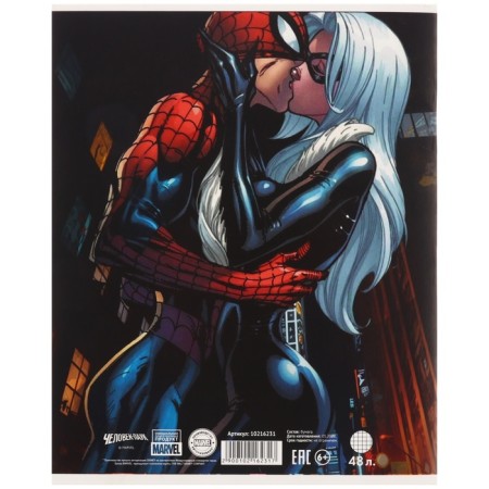 Notebook of 48 sheets in a cage, cardboard cover, spider-man-3