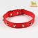 A collar with blurted spikes, 45 x 2 cm, mix of flowers