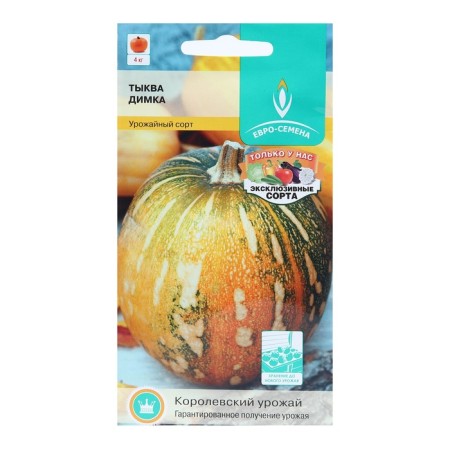Seeds of pumpkin Dimka centered/p 10pcs, early-nobility, cylindrical, light orange pulp, mass D-2