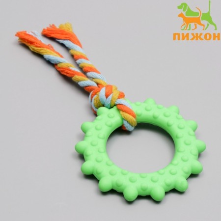 Chewing toy with a rope "Ring with a tail", green