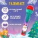 Musical microphone "New Year stories", sound, light