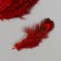 Decorative pheasant feather "Rice. Red" set 20 pcs h = 5-7 cm