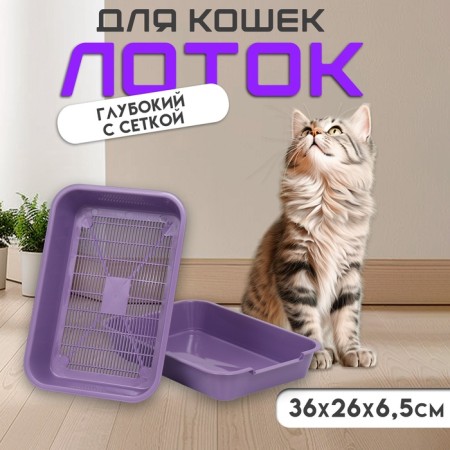 A medium toilet with a mesh of 36 x 26 x 6.5 cm, purple,