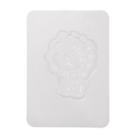 Set for creativity "Buckwheat for baths with your own hands. Friendly animals "3 forms-9