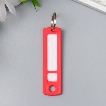 IDDENIFICTOR for keys on the ring plastic mix 6.3x1.7x0.3 cm-1