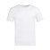 Male T-shirt Collorista, density 145g/m2, white color, size 50-52