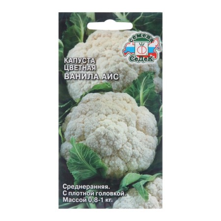 Seeds Cabbage Color "Vanila Ice", 0.5 g