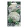 Seeds Cabbage Color "Vanila Ice", 0.5 g
