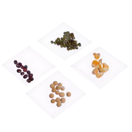Ecofroma experiments set, with your own hands-15