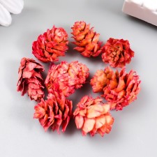 Decor for creativity 