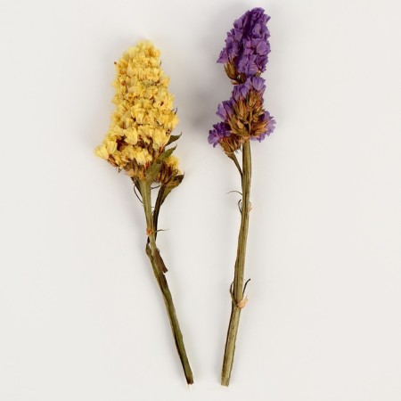 Set of dried flowers "Spring"-1
