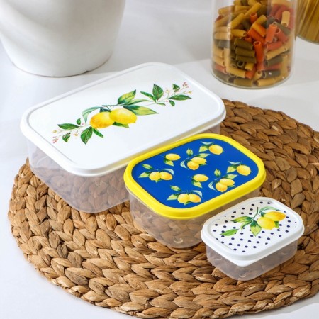 A set of food containers of the Dolyan Lemons, 3 pcs: 150 ml, 500 ml, 1.2 l, rectangular-5